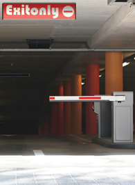 Pesta&ntilde;a Suspendida